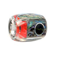 Black Bart Cabo Prowler Black Bart Cabo Prowler