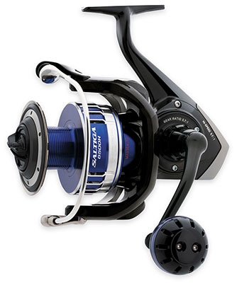 Reel Maintenance Daiwa Sealine 50H conventional reels