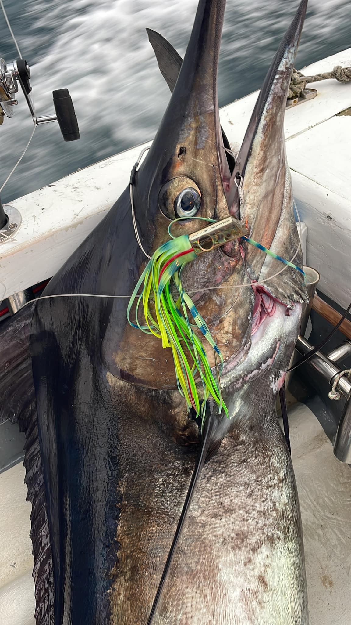 485142608-634448542689874-7773644678222440734-n.jpg 485142608-634448542689874-7773644678222440734-n.jpg