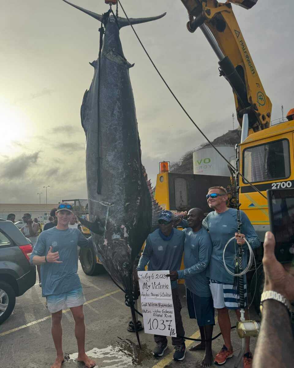 493275039-9412997255435841-4613949493148190505-n.jpg 493275039-9412997255435841-4613949493148190505-n.jpg