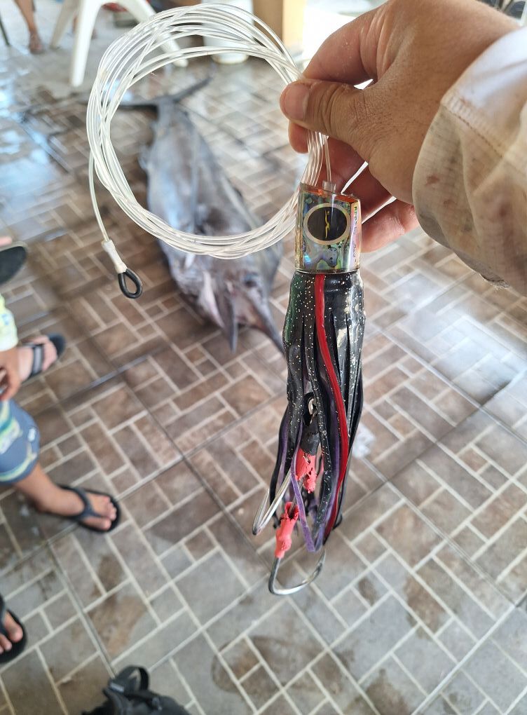 506357215-10171275245115034-6476083965952962771-n.jpg 506357215-10171275245115034-6476083965952962771-n.jpg