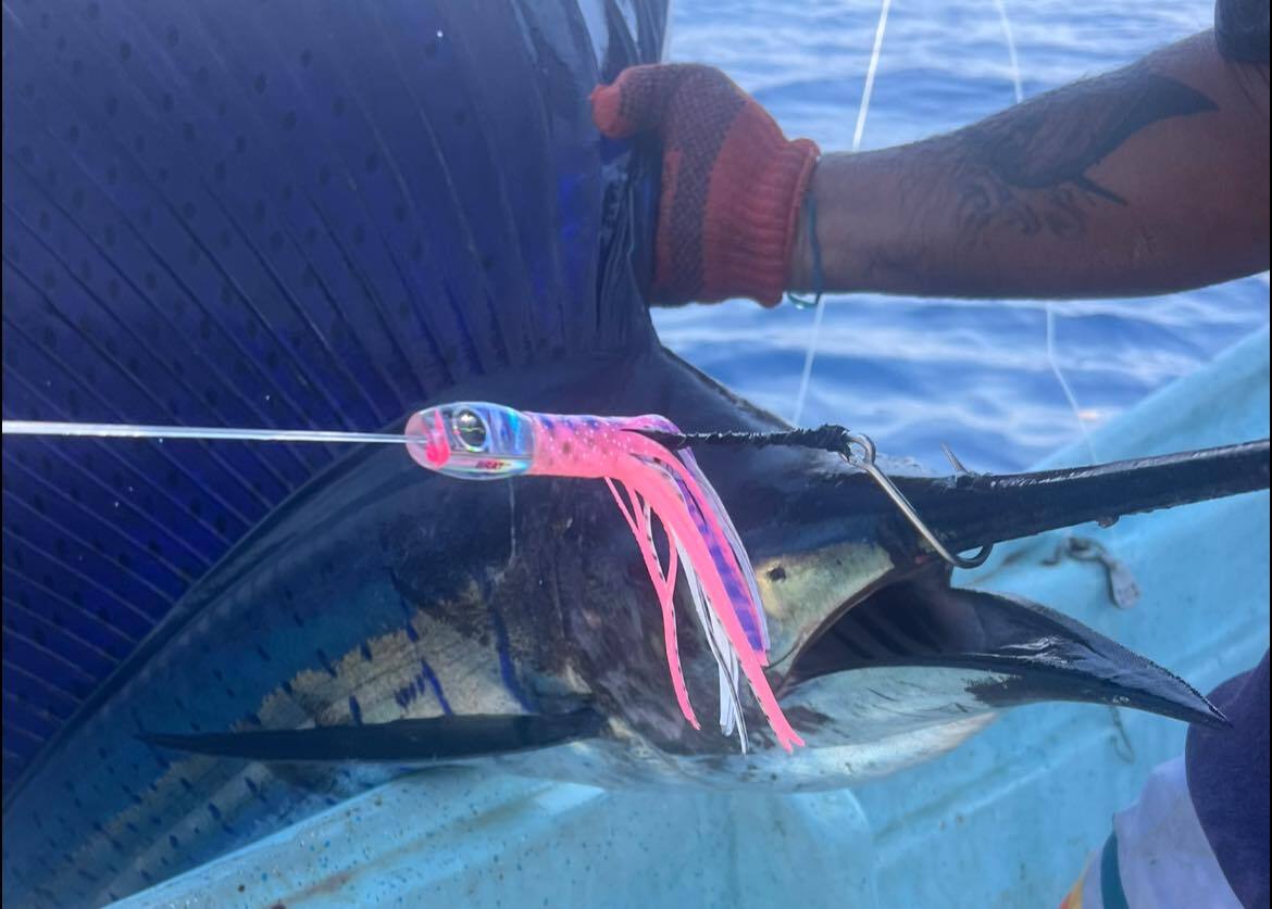 514373151-24204103402617758-8811463569414349585-n.jpg 514373151-24204103402617758-8811463569414349585-n.jpg