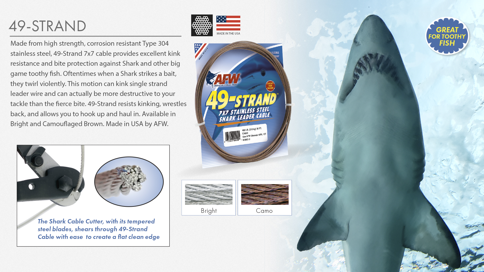 banner-49-strand-shark.jpg