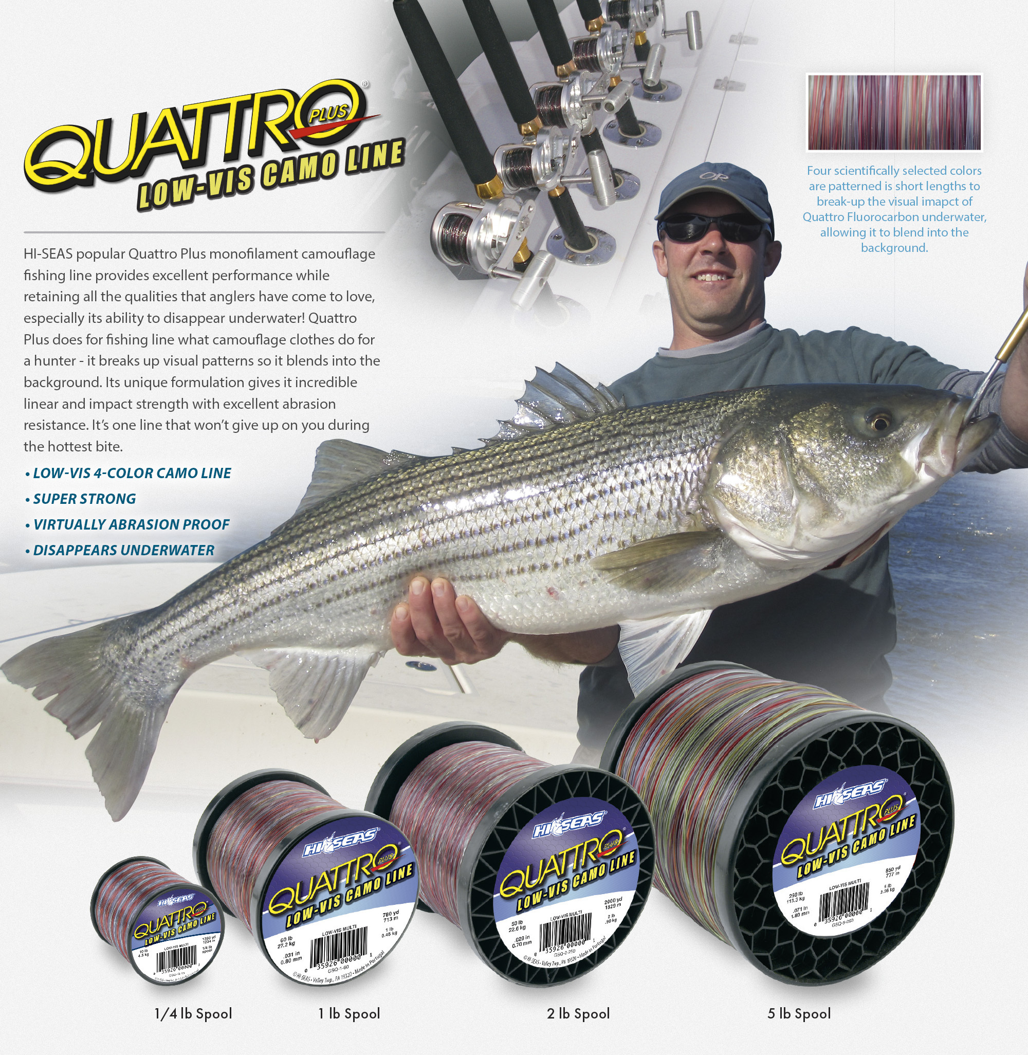 banner-quattro-mono-line.jpg