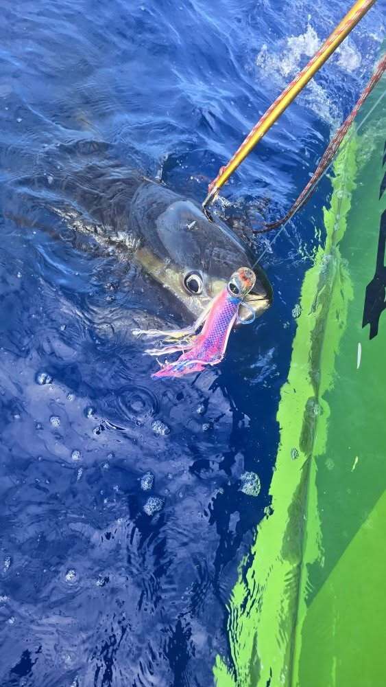 black-bart-st-thomas.jpg black-bart-st-thomas.jpg