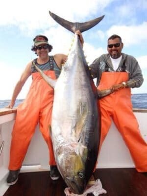 fotos-de-cell-de-pesca-115-300x400.jpg