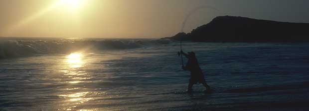 g.loomis-imx-surf-rods-header.jpeg