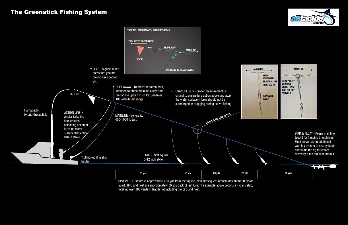 greenstick-diagram2.jpg greenstick-diagram2.jpg