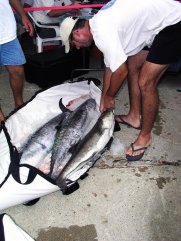 Sea fishing tackle box essentials - SeaAngler