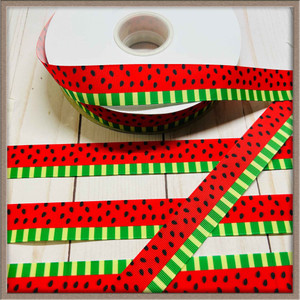 Watermelon Stripe 1" Grosgrain Ribbon By The Yard Picture 1