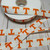 Orange Tennessee T 7/8"  Grosgrain Ribbon By The Yard Picture 2