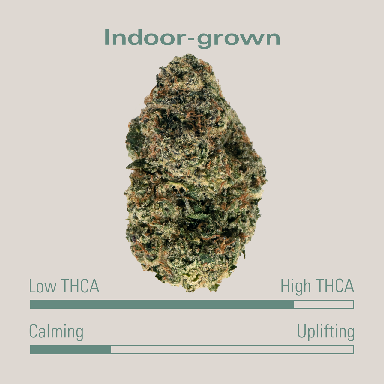 THCA Flower — Gelato 33