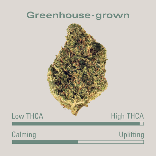High THCa Flower