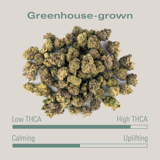THCA Flower Small Buds