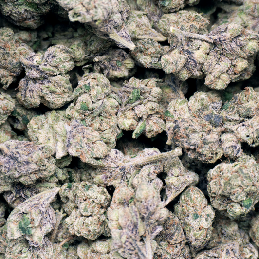 Bulk THCA Flower - Gelato Candy Bulk THCA Flower - Gelato Candy