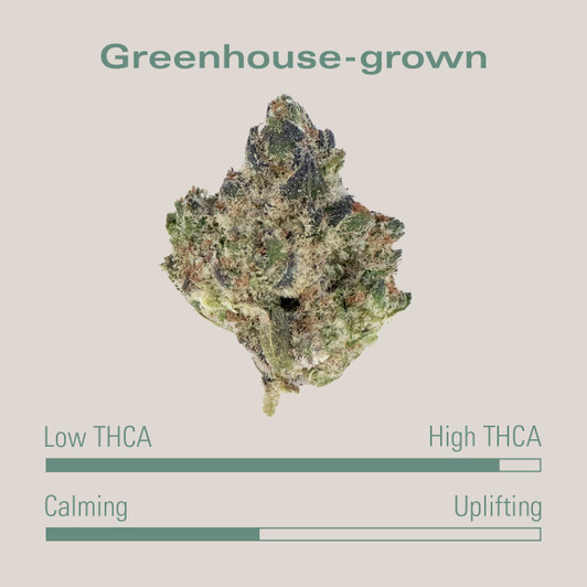 THCA Flower Smorez