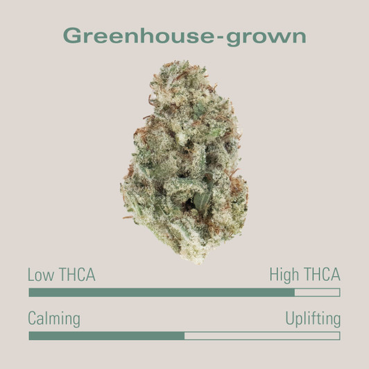 THCA Flower MAC1