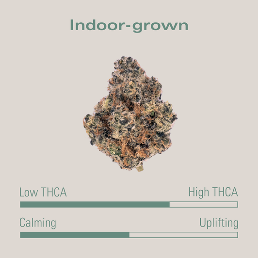 THCA Flower Gary Payton