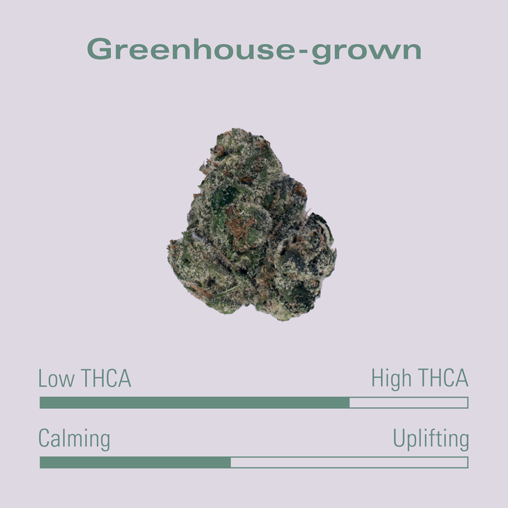 THCA Flower - Jungle Runtz