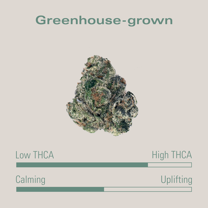 THCA Flower - Jungle Runtz