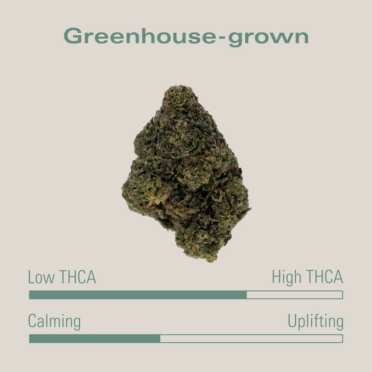 THCA Flower - Blue Gelato