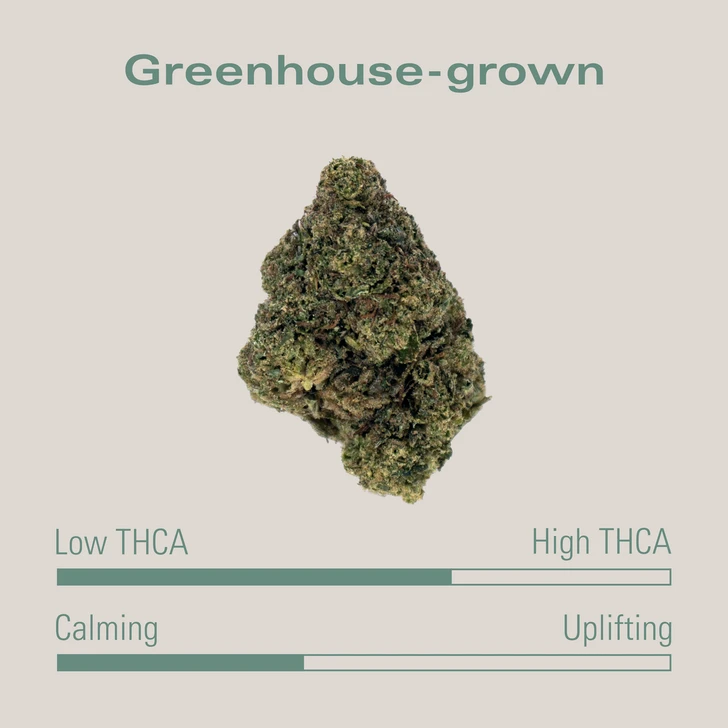 THCA Flower - Blue Gelato