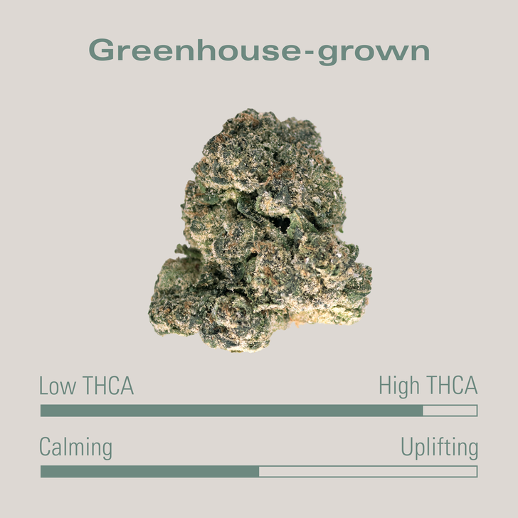 THCA Flower - White Gumbo