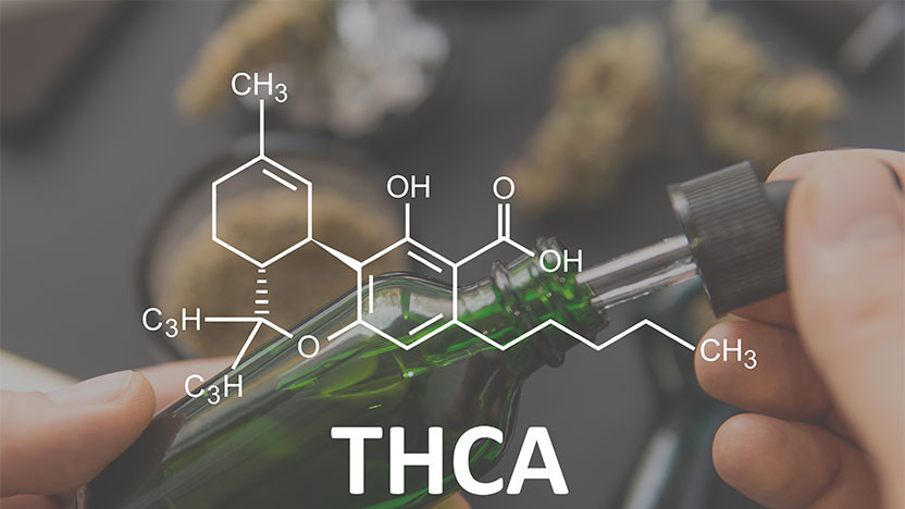 5 Different Ways To Use THCA Oil