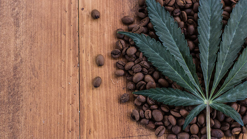 8 Creative Ways To Make CBD Coffee