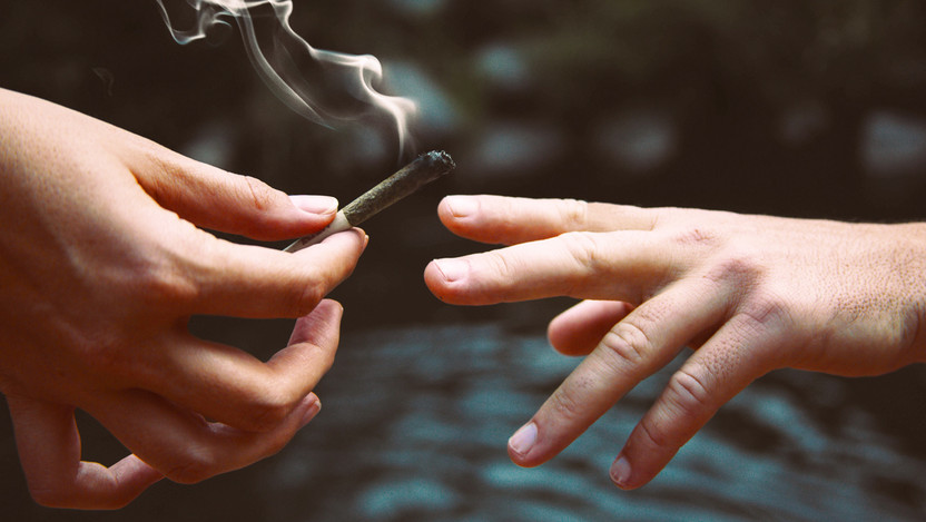 How to Choose the Right CBD Product