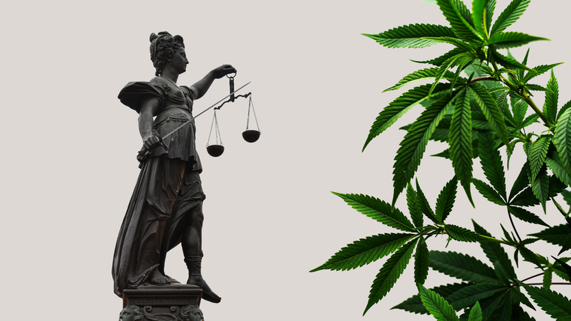 Cannabis Schedule III Classification Explained