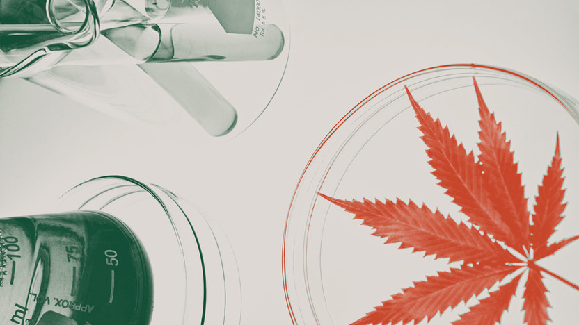 Does Delta-8 Show Up On A Drug Test?