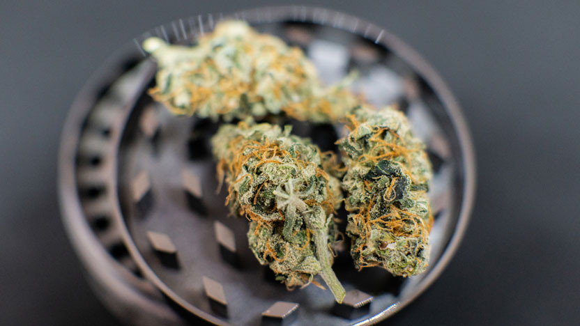 Discover Raleigh's Finest THCA Flower Selection