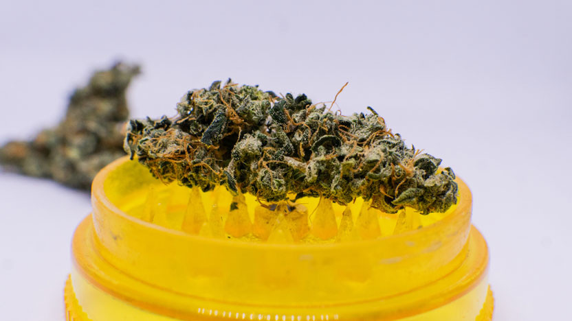 Exploring THCA Flowers: Raleigh's Premium Choices