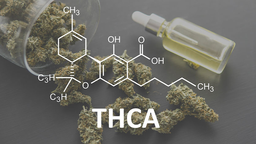 How To Find The Right THCA Dosage For You