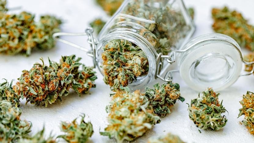 How To Identify High-Quality THCA Flower In Raleigh, NC - Hemp Generation