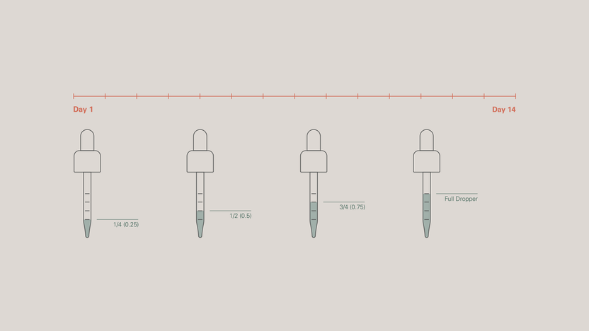 How Much CBD Should A Beginner Start With?