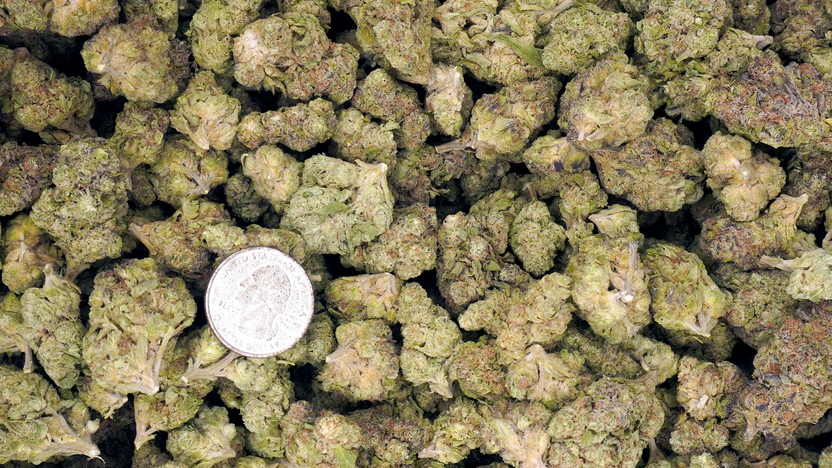 How Much THCA Flower Should You Buy in Bulk? (Ounces vs. Pounds Explained)