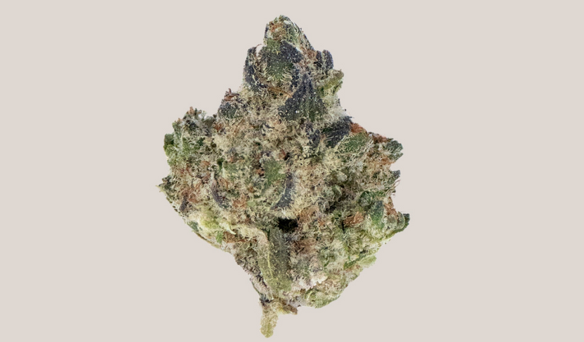 Top 5 Reasons Smorez THCA Flower Should Be in Your Next Stash: Premium Profile and Sensory Experience Explained