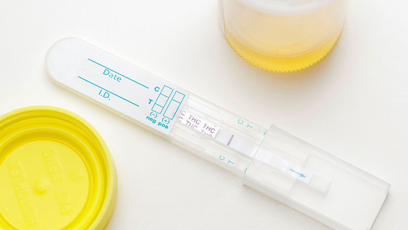 How Long Does THCa Stay In Your System?