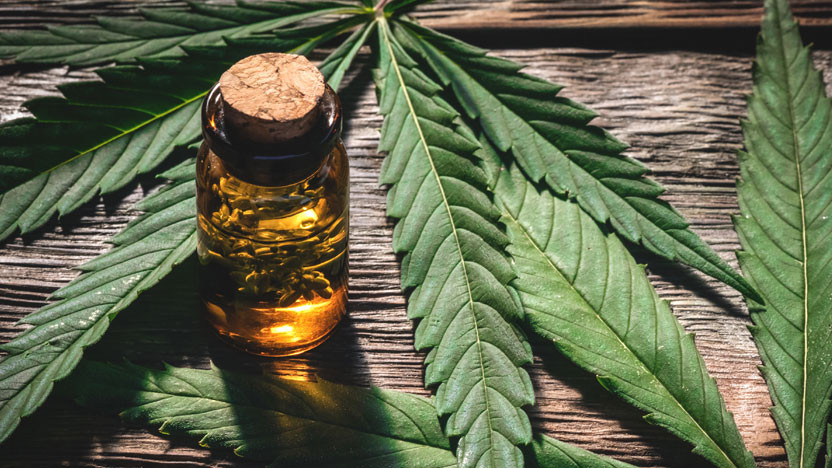 THCa Facts: Answering Most Common Questions