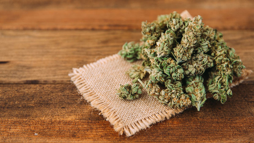 THCA Hemp Flower Bliss: Raleigh's Trusted Source