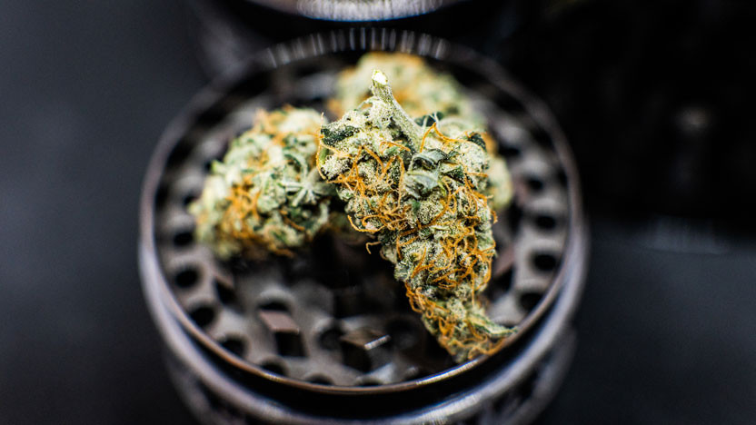 THCa vs. THCV: What's The Difference?