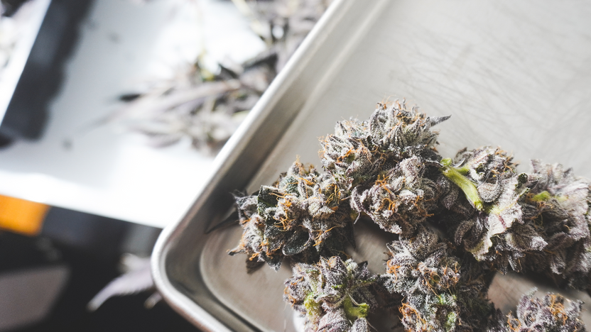 THCA Flower Delivery In Raleigh, NC: Can You Buy It Online?