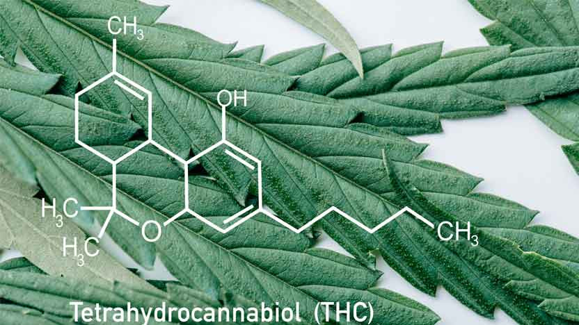 Top Tips for Choosing the Right THC Products