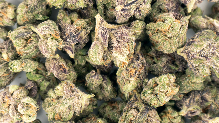 Why Buy THCA Flower At Wholesale Prices In Raleigh, NC?