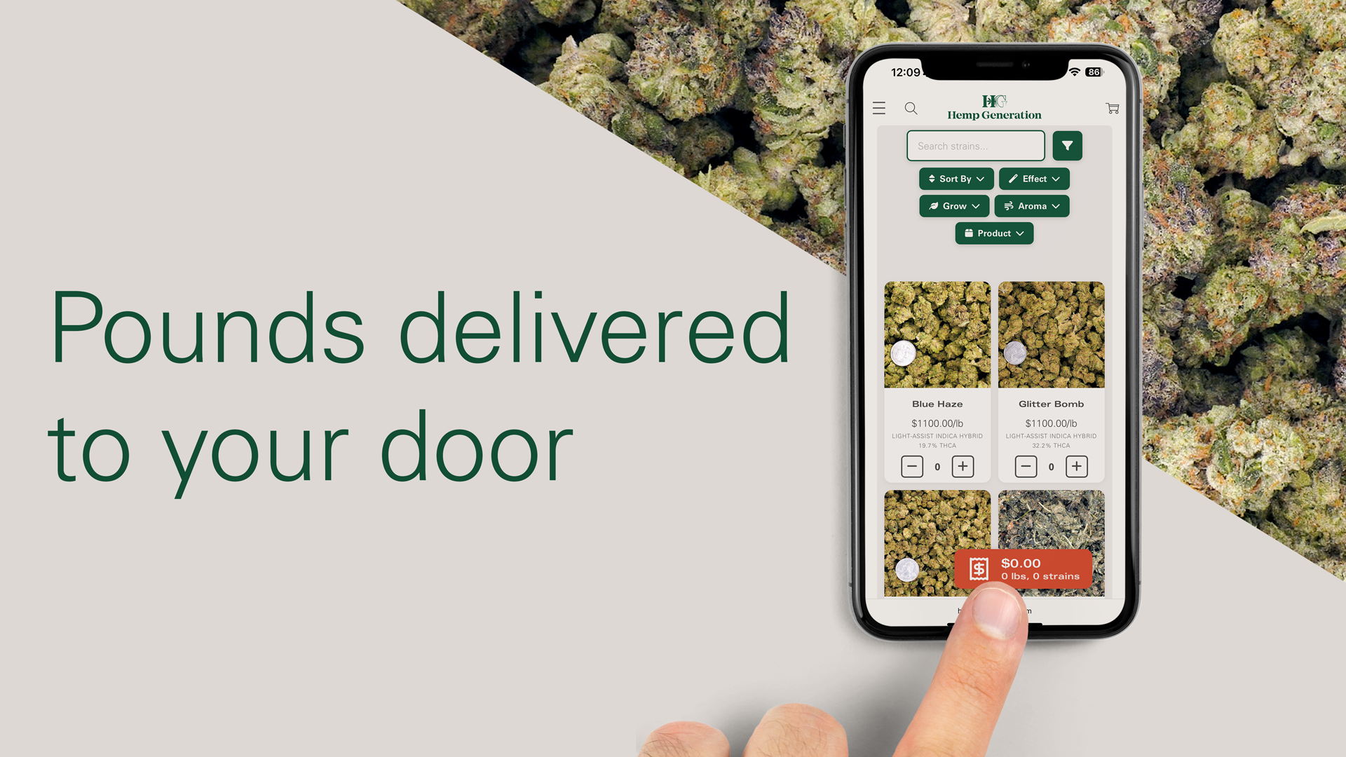 Shop Bulk THCA Flower