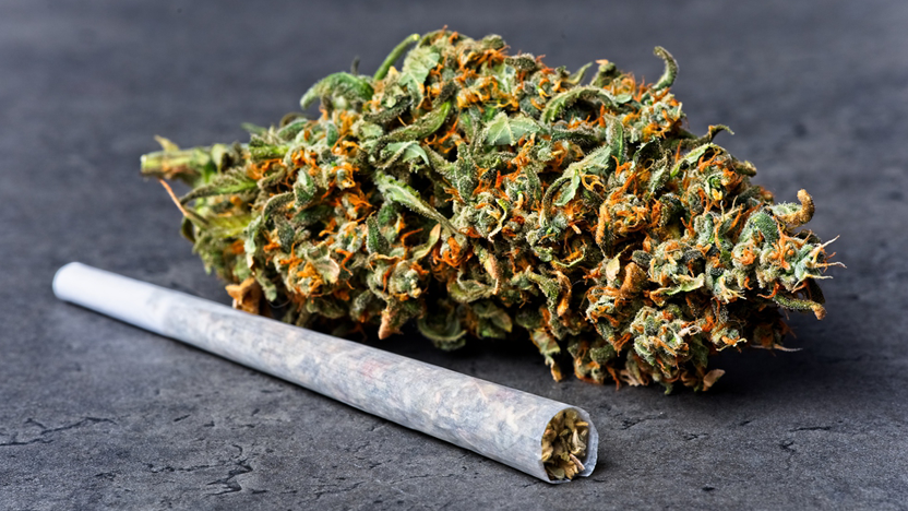 Are Infused Pre Rolls Worth It Are Infused Pre-Rolls Worth It? - Hemp Generation