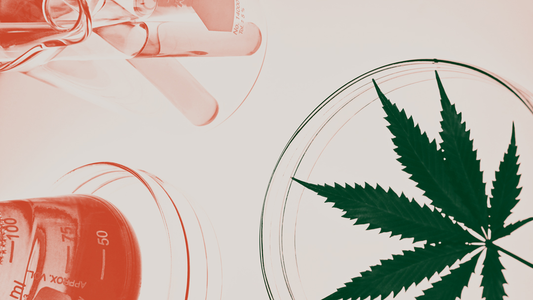 Does CBD Show Up On A Drug Test? Hemp Generation