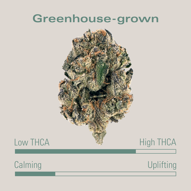 Canal-Street-Runtz-THCA-